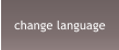 change language