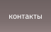 контакты