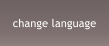 change language